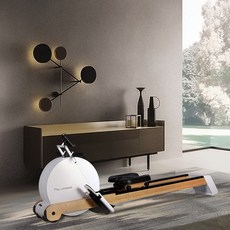 디와이DY 미국alves가정용 부유식 카누 노젓기 접이식 무음 비수저항 카누기 헬스 기구 폴딩 로잉 머신