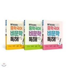 메가스터디문학총정리