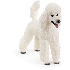 슐라이히강아지