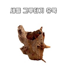 영아쿠아 세틀 그루터기 미니유목(중) 랜덤 맹그로브 천연, 1개