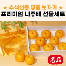 [고당도선별] 프리미엄 나주배 선물세트 명절 과일선물세트, 1개, 5kg