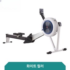 KC인증완료 라이겟 접이식 C2 에어로잉머신 전신운동 관세미포함 유산소 포함 선택가능 헬스