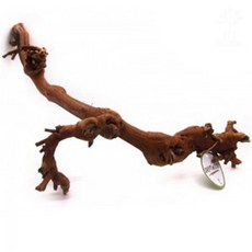 세틀 포도 유목 브라운 S 15~30cm, 1개