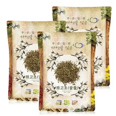 꿀초
