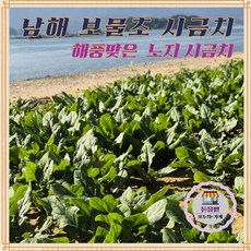 [돋을볕] 남해 보물초 해풍맞은 노지 시금치, 1개, 1kg