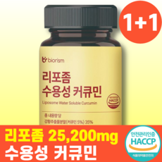 바이오리즘 리포좀 수용성 커큐민 강황 72g, 2개, 120정