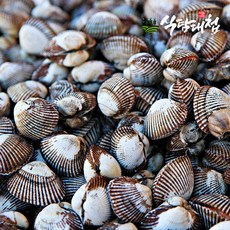 식탐대첩 국내산 보성 벌교 세척 새꼬막 상 1kg, 1개