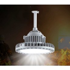 LED 방폭등 투광기 작업등 공장 램프 조명, 1개