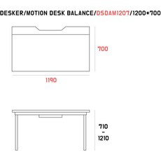 dsad410