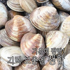 279a6ffa6bf670773d342d8e2e4ceca5a135b54957717aabad2f95004bee.jpg