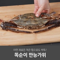 일상공감 똑순이 만능가위 홀더세트, 단품