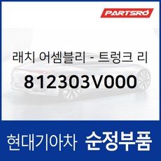 트렁크 리드 래치 (812303V000) 그랜저HG 그랜저 하이브리드 현대모비스부품몰