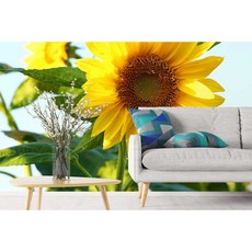 뮤럴벽지해바라기