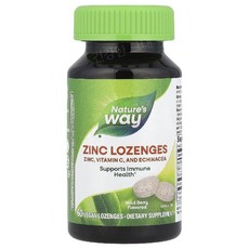 네이처스웨이 아연 징크 녹여먹는 산딸기맛 60로렌지 비타민C 에키네시아 Zinc