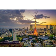 도쿄크레이지파라다이스