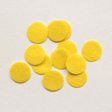 원형펠트
