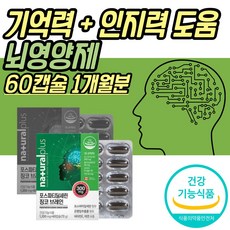 뇌산소