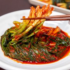 전재료 100% 국산 당일제조 전라도식 파김치 1kg 여수 파김치, 1개