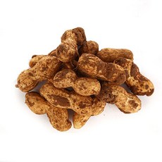 23년 국내산 삶아먹는 피땅콩 생땅콩 물땅콩, 1개, 땅콩1kg