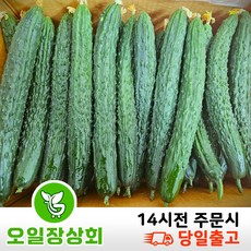 <행사>< 오일장 상회 > 국내산 오이 가시오이 청오이 특품 3kg 5kg 10kg’></p>
<p style=