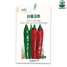 다농 신홍고추 씨앗 50립 매운 청양 종자, 1개