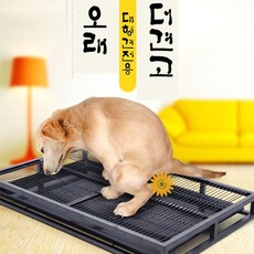 이지클린토일렛