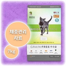 고양이초보집사되기