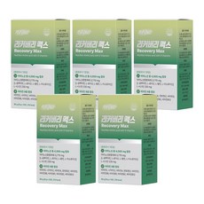 리커버리 맥스 BCAA 아미노산 레몬맛 400g 50포 5박스 에너지 헬스 부스터 판토텐산, 10정