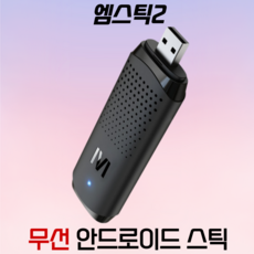엠스틱2-추천-상품