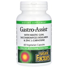 Natural Factors Gastro-Assist 매스틱 검 260mg 사카로미세스 보울라디 50억 및 아연 L-카르노신 37.5mg 함유 베지 캡슐 60정, NFS01756, 1개