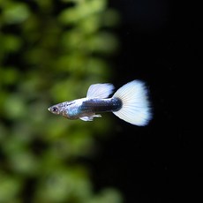 0b5a63a3454de3f0b51b7ce8673ee66f0ab1086bee7063dd58e282f9afb3.jpg