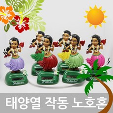 8월호솔라