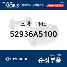 yf소나타앰프