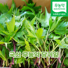 생당귀
