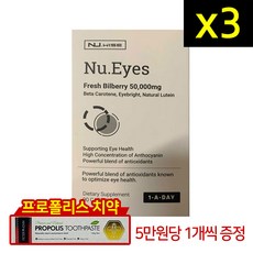 뉴와이즈 빌베리 루테인 50000mg 90캡슐 3개 (사은품), 90정