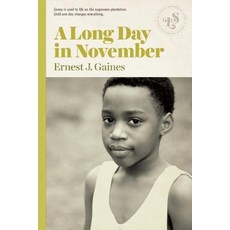 A Long Day in November Paperback, Lizzie Skurnick Books, English, 9781939601025