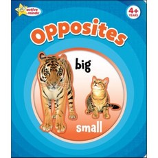 Active Minds Opposites, Sequoia Children's Publishing