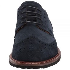 에코옥스포드화