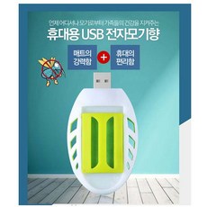 모기홍