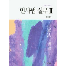 민사법 실무 2, 박영사, 김차동