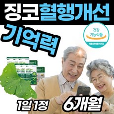 두뇌 영양제 은행추출물 뇌 건강 혈행개선 좋은 식약청 고함량 초기 기억력 혈액 수험생 운동 징코 은행잎 부족 저하 감퇴 중장년층 시니어 불편 순환 남편 아내 알 약 케이스증정