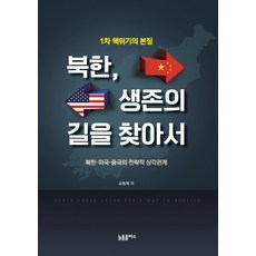 북한 생존의 길을 찾아서:북한·미국·중국의 전략적 삼각관계, 늘품플러스, 조병제