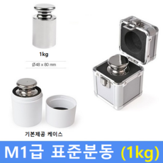 안동문보트