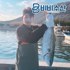 기타 구룡포직배) 포항 12kg 대방어 300g 슬라이스+기본구성품, 상세페이지참조, 1개