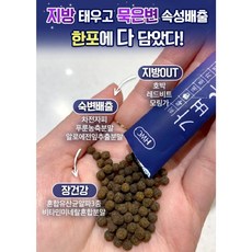 가벼운환