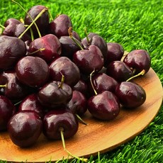 [정식통관] 칠레 산 생 체리 500g 당도 18~22bix 수분 가득