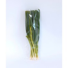 [도매직송] 필수야채 국내산 양파 마늘 당근 토마토 외 45종 소포장 야채 골라담기 (업체별도, 1세트, 04. 깐대파 800g