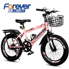 아이바이크20인치