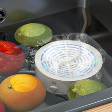 보아르과일야채