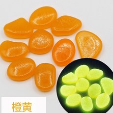 수족관장씨